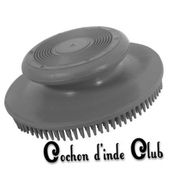 Toilettage du pelage du cochon d'inde, cobaye - Cochon d'inde Club