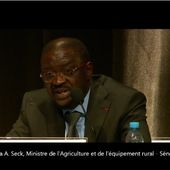 Sénégal : relations entre les exploitations familiales et l'agro-business - Voix Africaine