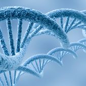 Vers des degeneres ? Travail de nuit equivaut a genes perturbes et chaos genetique - OOKAWA Corp.