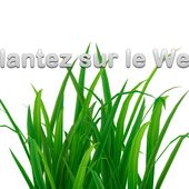 Plantez sur le WEB ! Be-Digital ready ! - OOKAWA Corp.