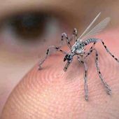 Unmanned Arial Vehicules (UAVs) - Drone : Israël 1er exportateur mondial de drones - OOKAWA Corp.