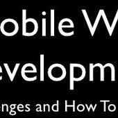 Mobile phones are no longer restricted to calls and messaging. Internet browsing and online shopping is also assumed to be a mobile function - OOKAWA Corp.