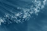Le câble fibre optique : un rôle majeur dans le déploiement d'une infrastructure informatique - OOKAWA Corp.