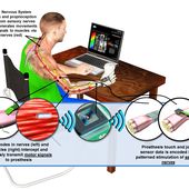 BY RESTORING SENSE OF TOUCH TO AMPUTEES, HAPTIX SEEKS TO OVERCOME PHYSICAL AND PSYCHOLOGICAL EFFECTS OF UPPER LIMB LOSS - OOKAWA Corp.