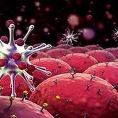 Supprimer LE SUCRE de l'alimentation pourrait faire mourir le cancer ! - OOKAWA Corp.