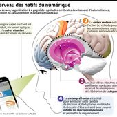 Génération Z : le cerveau des enfants du numérique - OOKAWA Corp.
