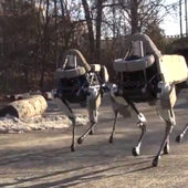 Google présente "Spot", son chien robot : en route vers la déshumanisation ! Dare to be better ? OK ! - OOKAWA Corp.