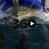 Avènement de la Vidéo 360° et de la photo 360° : Dubai360 fut la mèche ... - OOKAWA Corp.