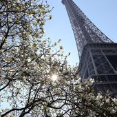 Pour un quart des ados américains, la France est une dictature - OOKAWA Corp.