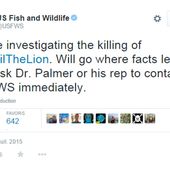 Les Etats-Unis demandent au tueur de Cecil de se manifester - Walter Palmer toujours recherché - OOKAWA Corp.