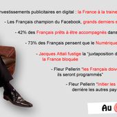 30 Millions de Français ACTIFS sur FACEBOOK - Dare to be better ? Ok ! - OOKAWA Corp.