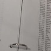 A 11 ans, elle vend des mots de passe sécurisés pour 2 dollars - OOKAWA Corp.