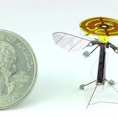 New robot bee may soon be a spy's secret weapon - OOKAWA Corp.