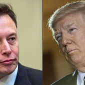 ELON MUSK arrête de conseiller DONALD TRUMP - OOKAWA Corp.