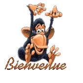 Ils nous auront tout fait!!!!!! - L'hôtellerie en folie