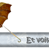 Anecdote N°24: - L'hôtellerie en folie