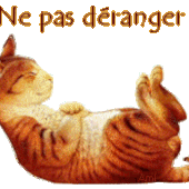 Anecdote N°33: - L'hôtellerie en folie