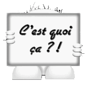 Anecdote N°41: - L'hôtellerie en folie