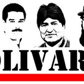 Communiqué de Solidarité Bolivarienne avec le Venezuela - Viva Venezuela