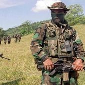 Un campement de paramilitaires colombiens est démantelé en territoire vénézuélien - Viva Venezuela