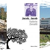 Jacob, Jacob - Valérie Zenatti - Stemilou