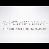 Pourquoi Allah crée-t-Il des choses qu'Il déteste ? | Shaykh Azzedine Ramadani