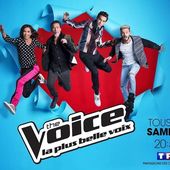 Coup d'envoi de la saison 6 de "The Voice, la plus belle voix" le 18 février sur TF1