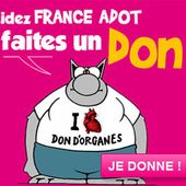 Le Rein de ma Soeur... - Le Blog De Zébulon's Mummy