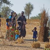 Nomades Peuls du Ferlo - Si le Sénégal m'était conté...