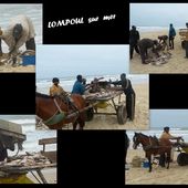 Un peuple de pêcheurs à Lompoul-sur-mer - Si le Sénégal m'était conté...