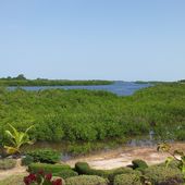 Saloum détente - Si le Sénégal m'était conté...