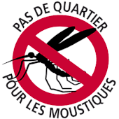 Faire son huile anti-moustique - KINEKA KREA