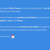 Ce CV façon Zelda est génial (bravo Arthur Moreau !) - Yes I Will