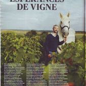 Alexandre Bain exclu de l'appellation Pouilly-Fumé ! - Les Fous de vin d'Alain Fourgeot
