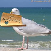 BON ANNIVERSAIRE- CANELLE -