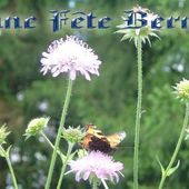 BONNE FETE AUX " BERNARD "