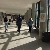 Un rapport de l'Inspection générale promeut le lycée polyvalent contre le lycée des métiers