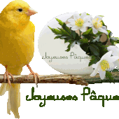 Dimanche de Pâques - Jardinier de Dieu