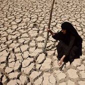 Le réchauffement climatique aggrave la situation au Moyen-Orient