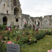 Journées de la rose à Chaalis 2014 1/2