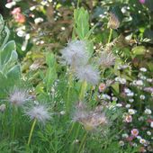 a4. Les visites de jardins et fêtes des plantes - plaisir-jardin.com