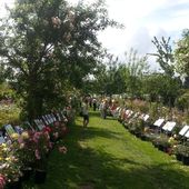 Les P.O. Méla Rosa 2014 2/2: c'est la fête ♪ ♫. - plaisir-jardin.com
