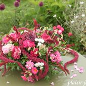 Bouquet purple fireworks - plaisir-jardin.com