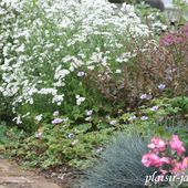 Scène de jardin: les abords de la terrasse en devanture - plaisir-jardin.com