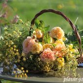 Bouquet "crème anglaise" - plaisir-jardin.com