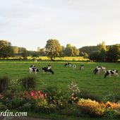 Avant-Après, le massif en devanture - plaisir-jardin.com