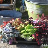 Divisons pour mieux régner sur les mauvaises herbes. - plaisir-jardin.com