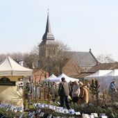 Les achats de Locon - plaisir-jardin.com