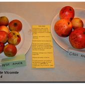 Gilles de Gouberville, les pommes et le cidre - Le Val de Saire vu par Ph L