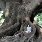 Se connecter à l’énergie des arbres